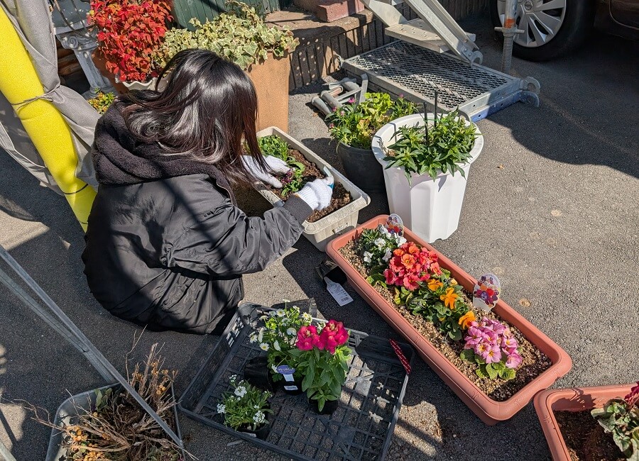 会社ショールームの花を植替えしている女性の写真（後ろ向き）