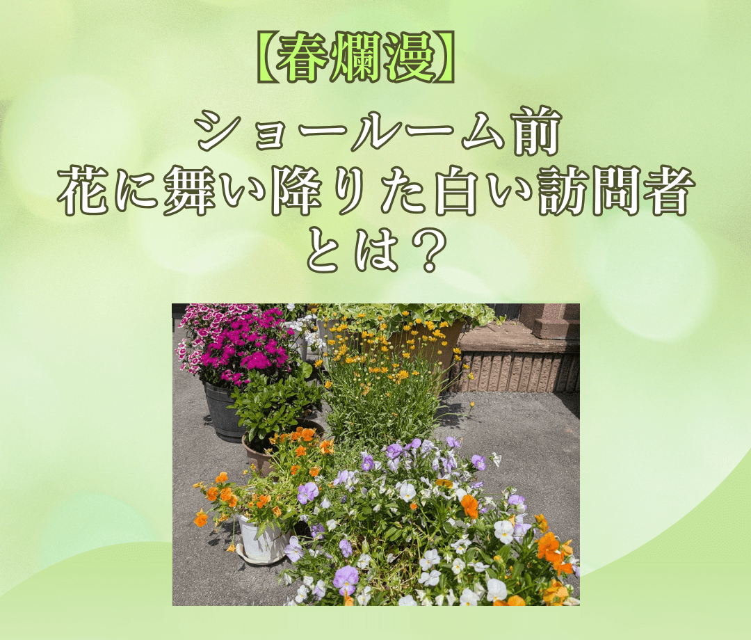 このページのタイトルとキレイなお花の画像