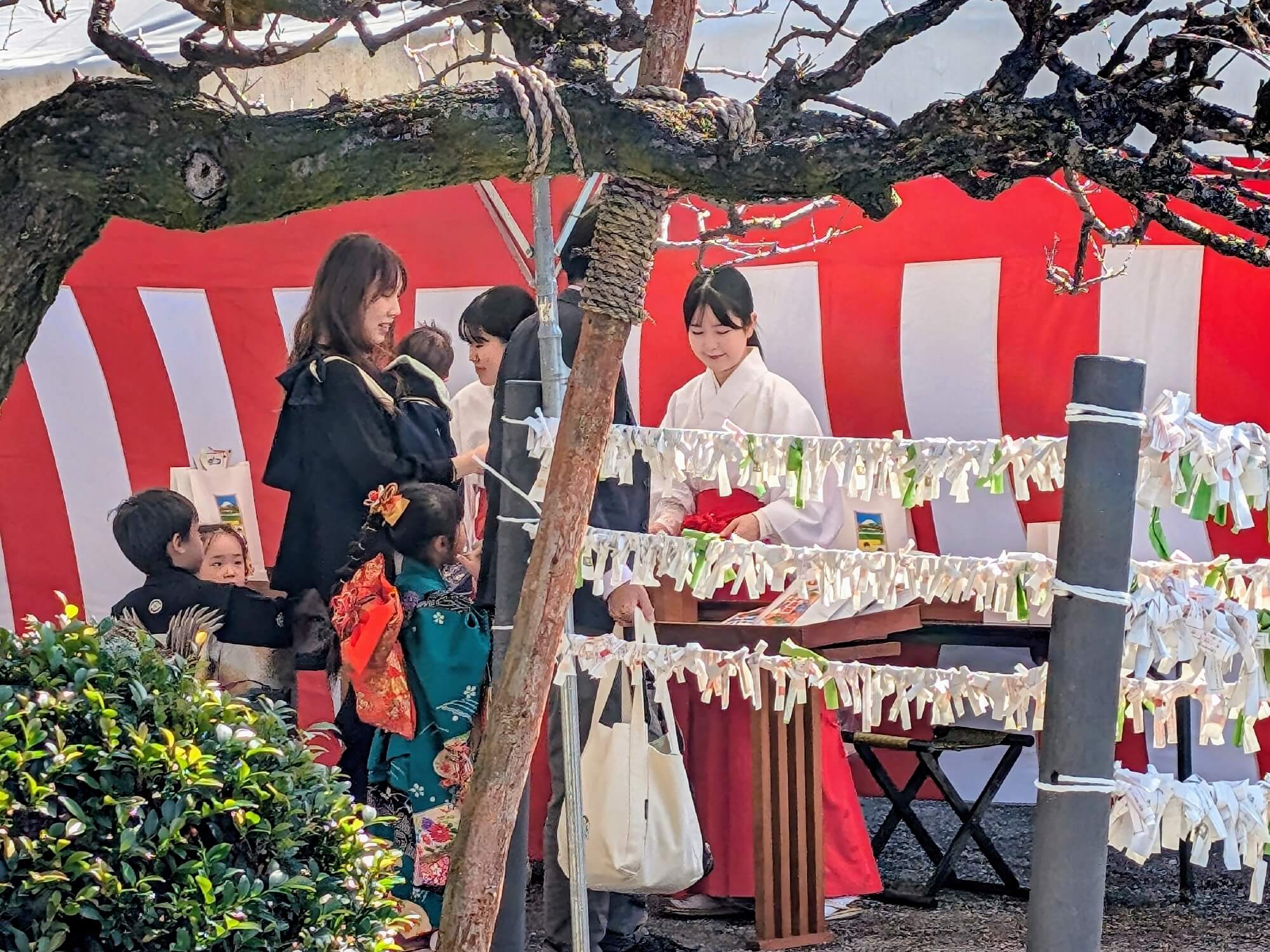 七五三のお参りをする親子と神社の巫女さんの画像